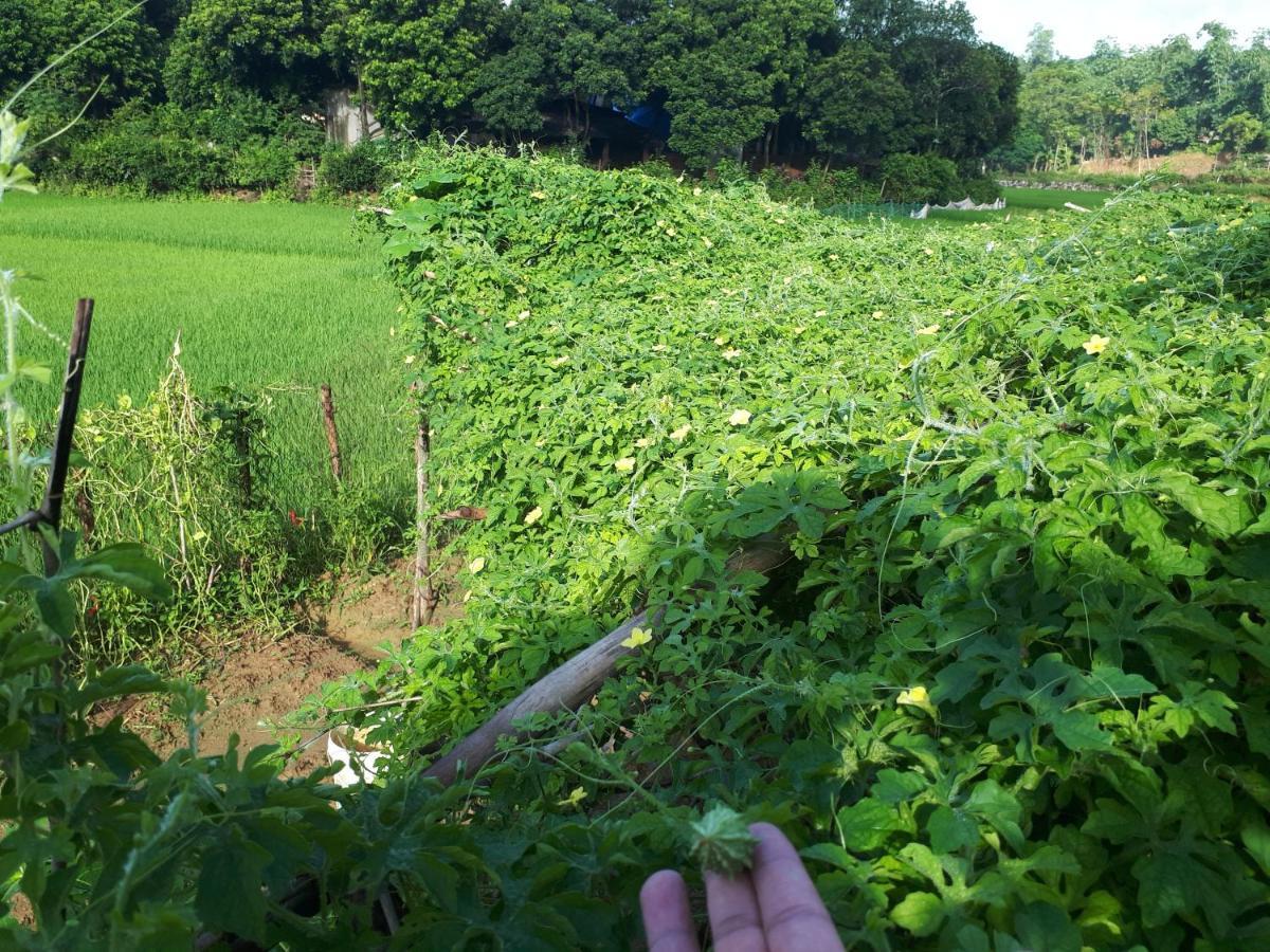 Meadow Mai Chau Homestay Екстериор снимка