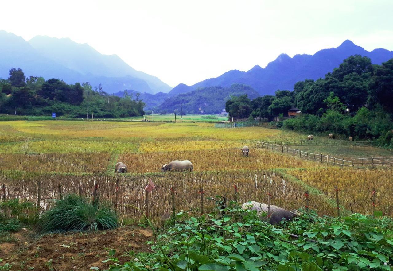 Meadow Mai Chau Homestay Екстериор снимка