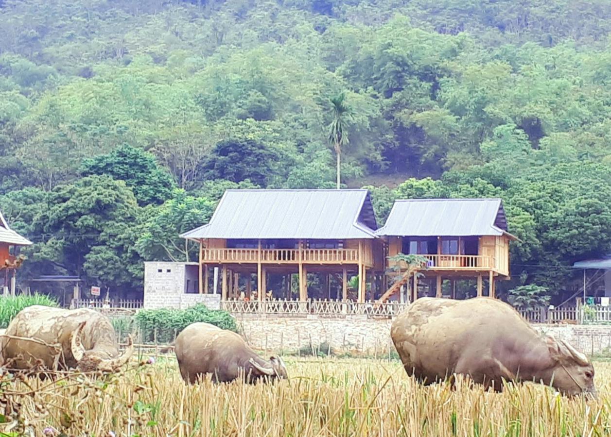 Meadow Mai Chau Homestay Екстериор снимка