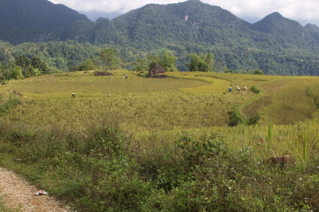 Meadow Mai Chau Homestay Екстериор снимка